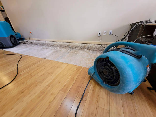 Professional Basement Flood Cleanup technician working in Bakersfield, CA